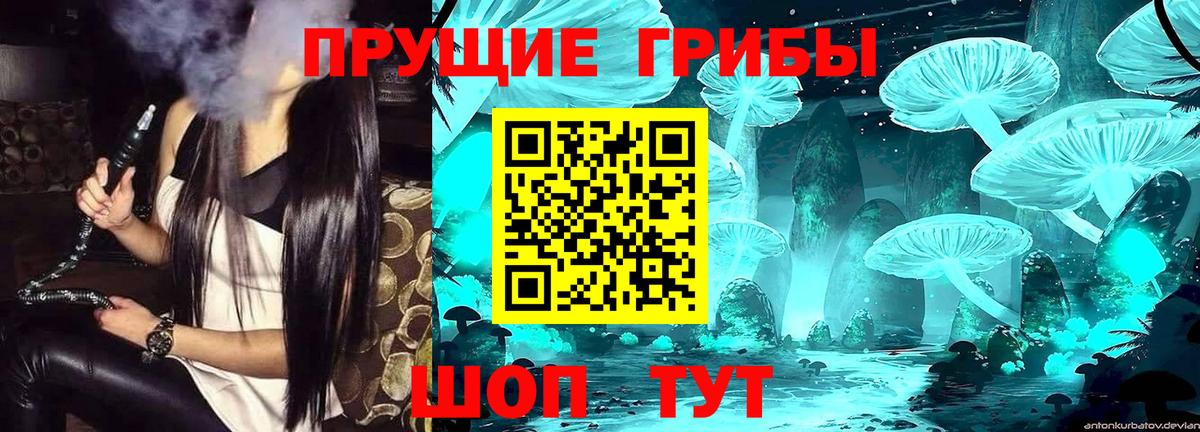 Галлюциногенные грибы ЛСД  Вход с VPN  Королёв  Псилоцибиновые грибы мицелий 